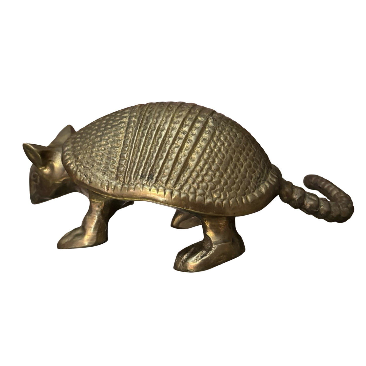 Brass Armadillo