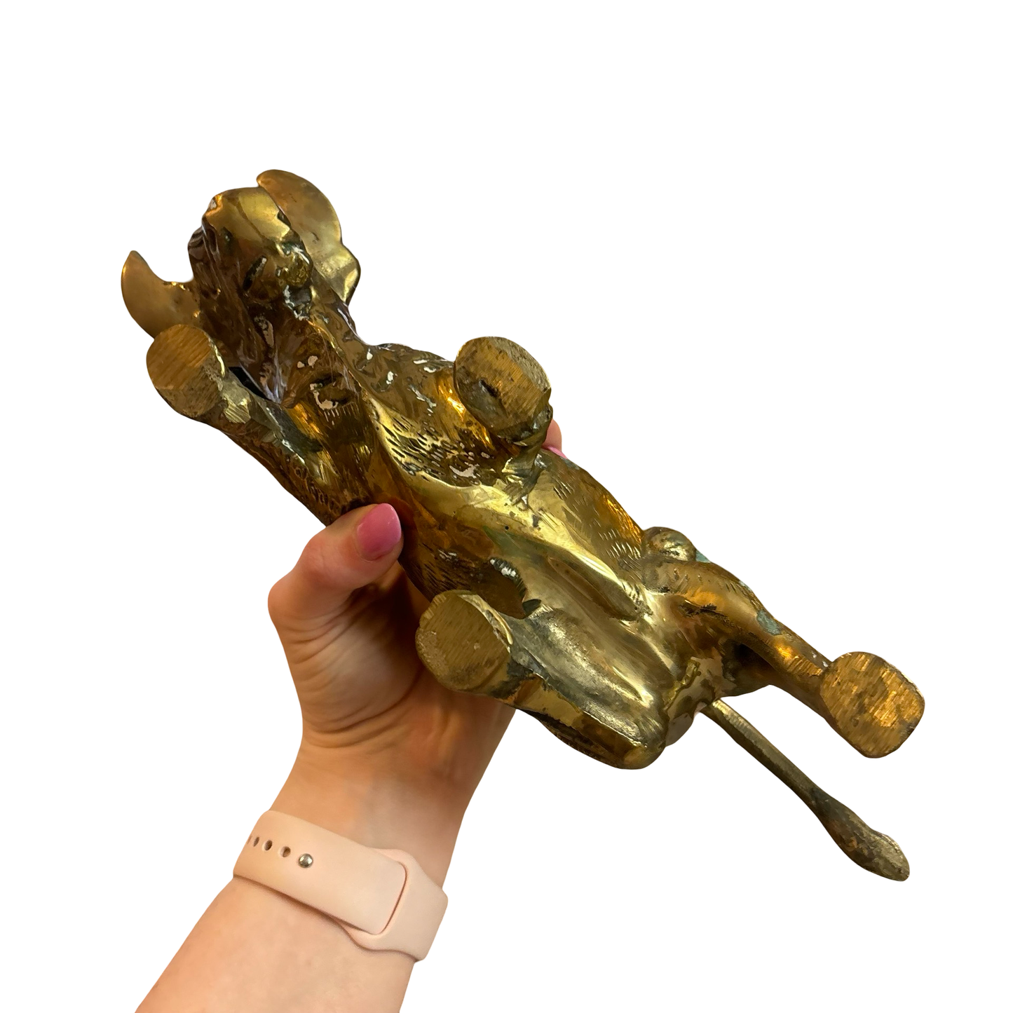 Large Brass Bull