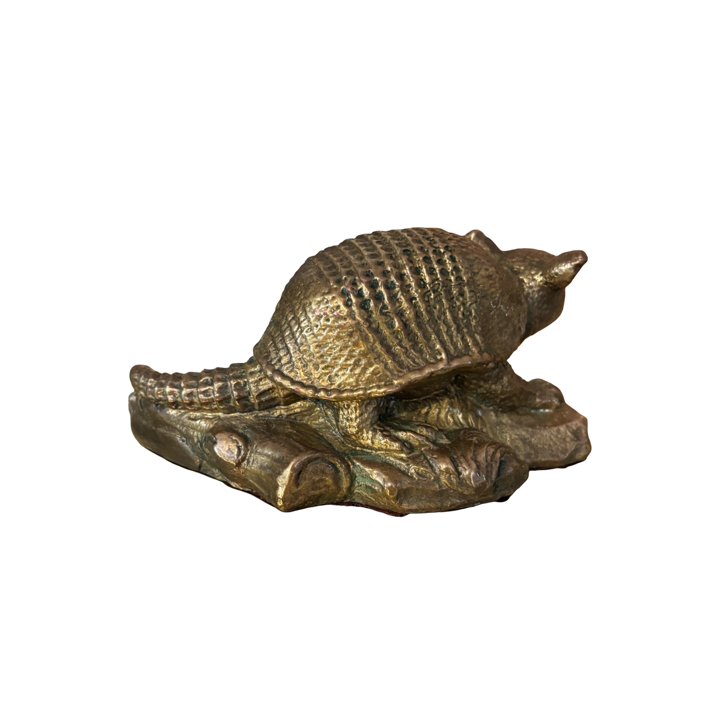 Brass Armadillo