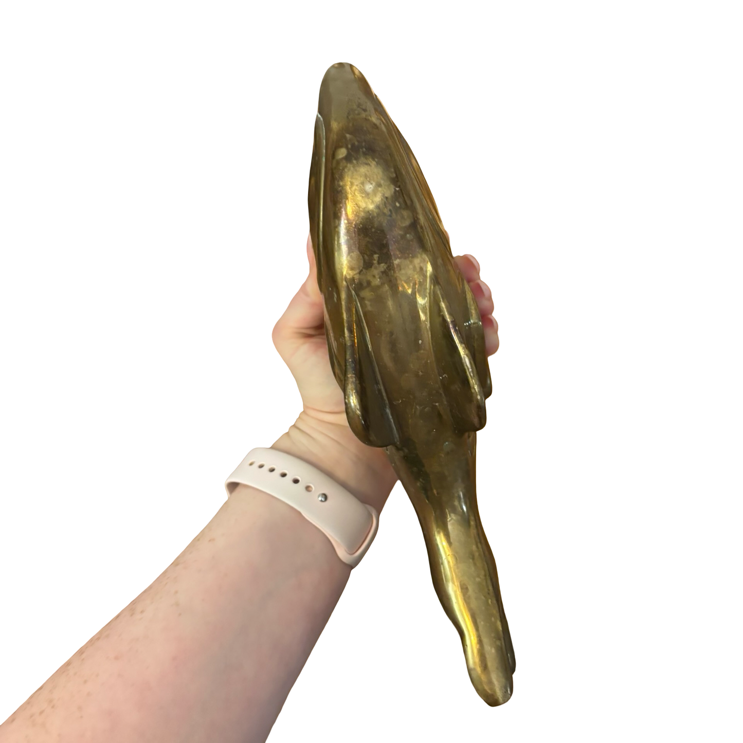 Large Brass Fish