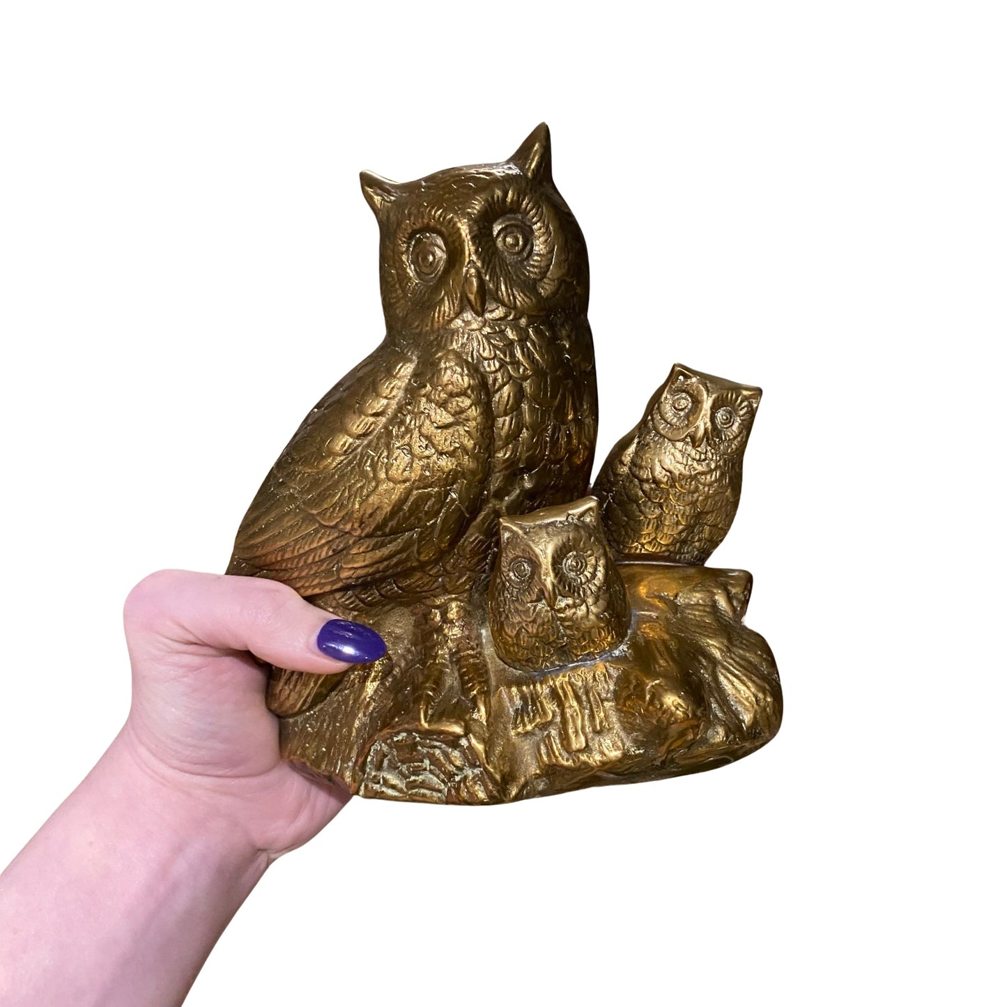 Brass Owl Family