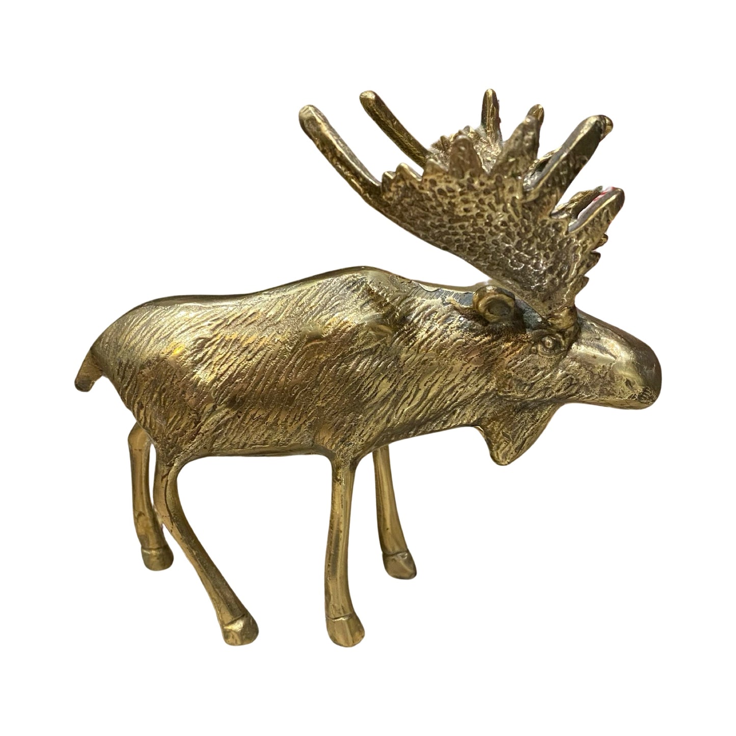 Brass Moose