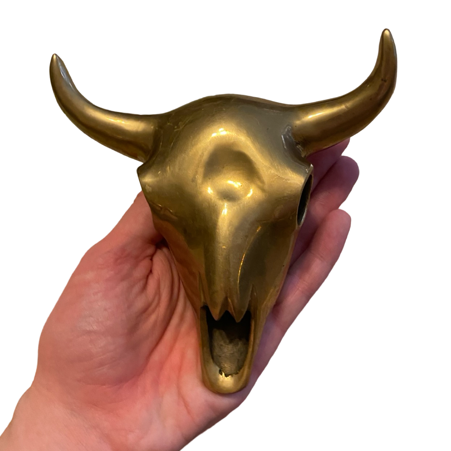 Brass Longhorn Skull