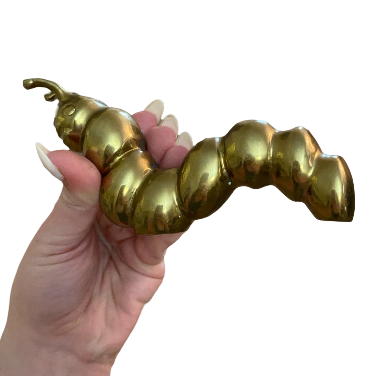 Brass Caterpillar