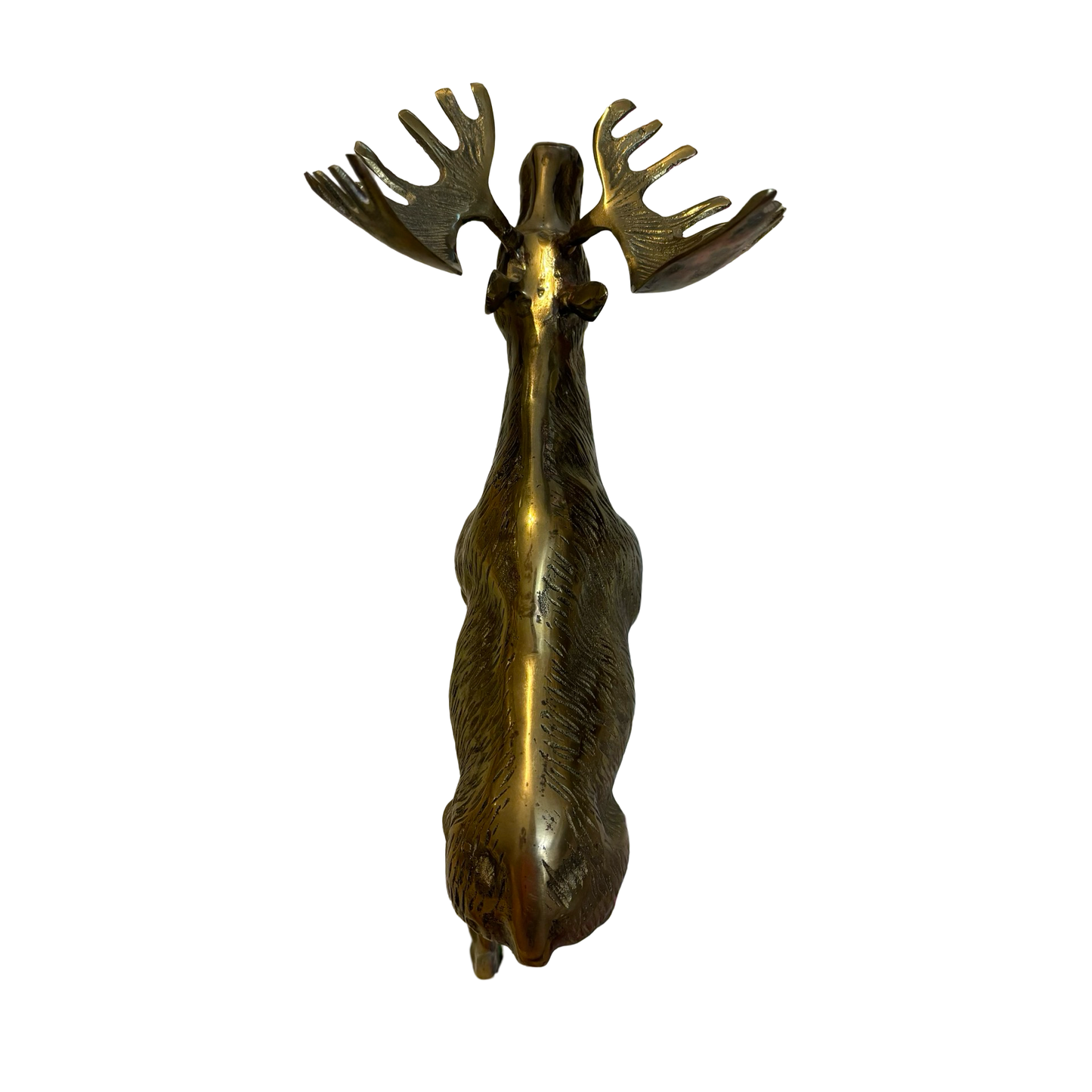 Huge Brass Moose