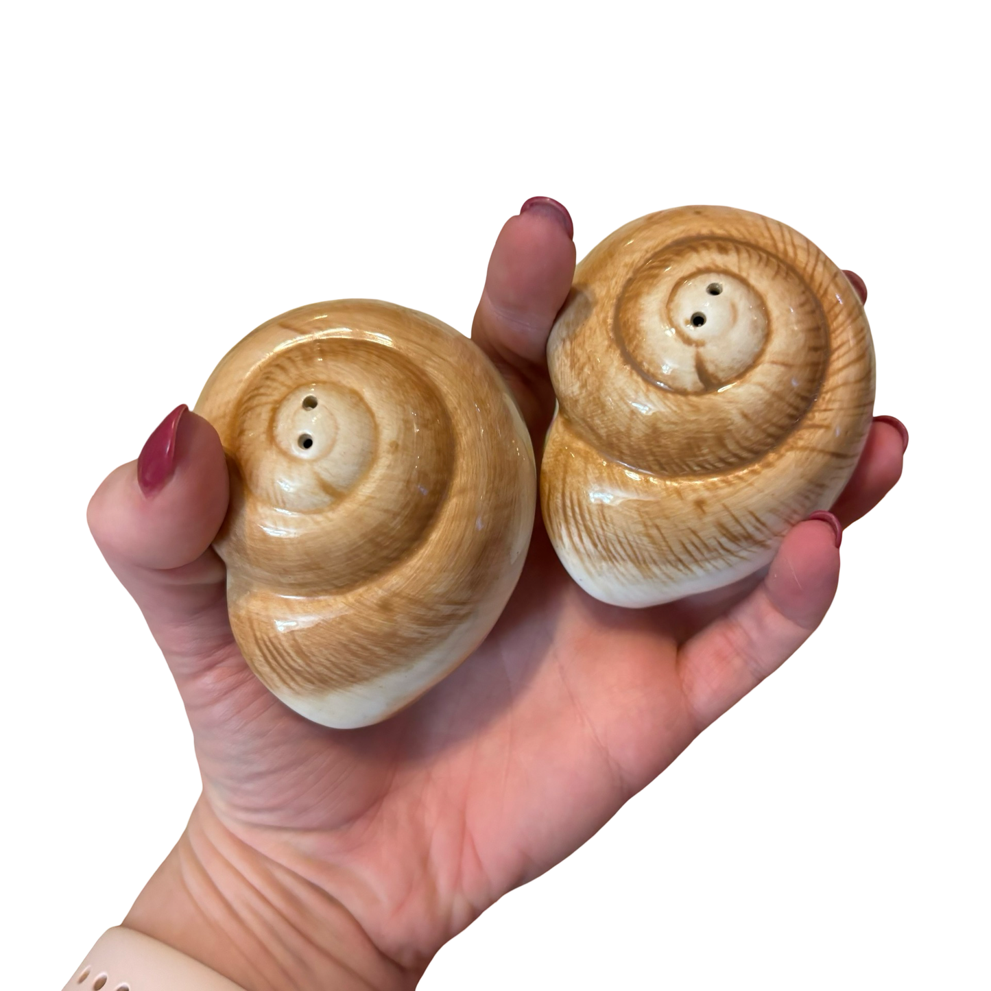 Seashell Shakers