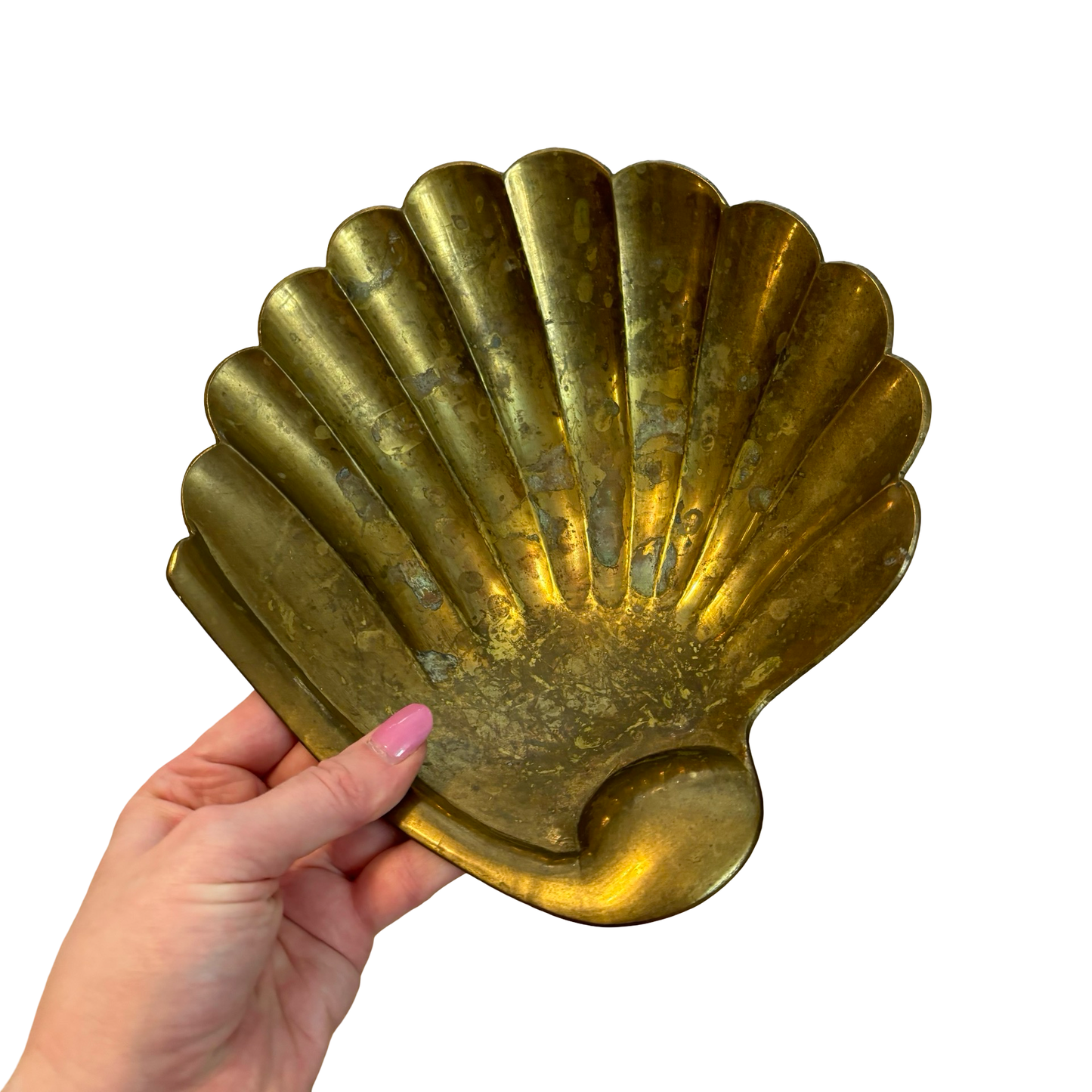 Brass Shell Dish