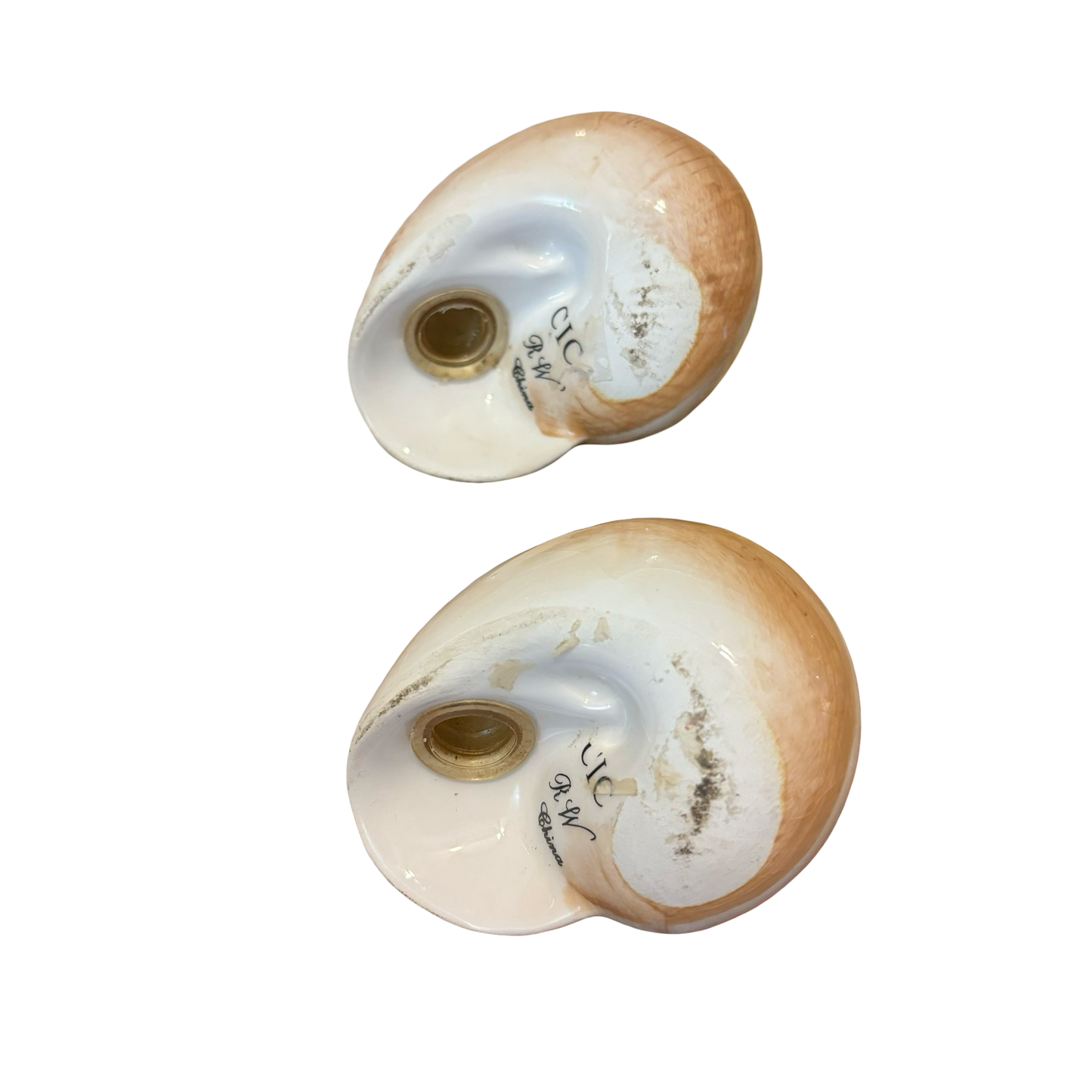 Seashell Shakers