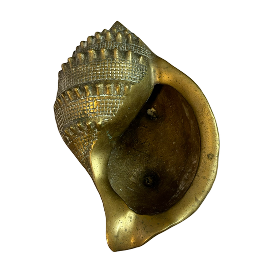 Large Brass Conch Shell Planter