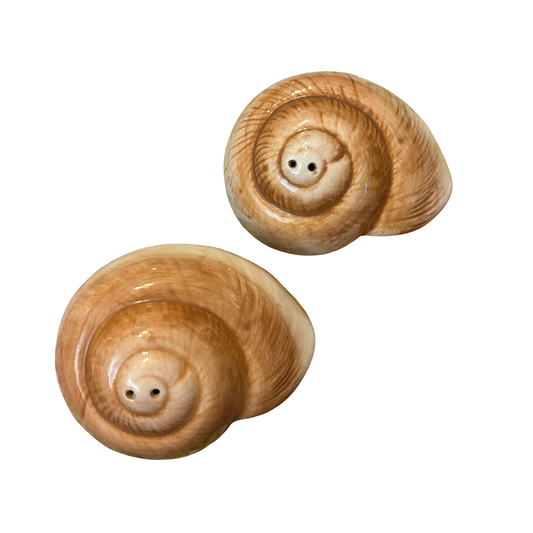 Seashell Shakers