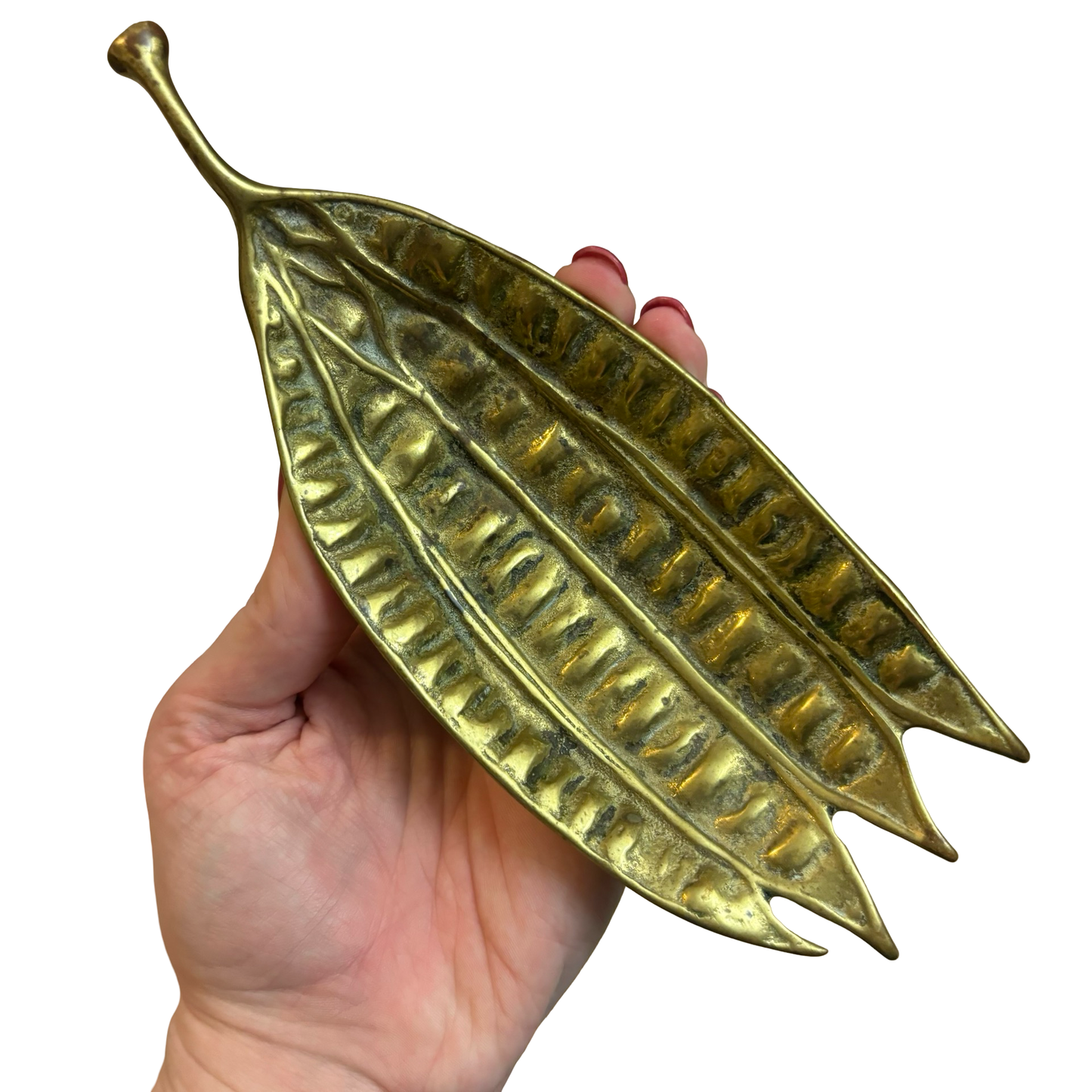Brass Mimosa Seed Pod Tray