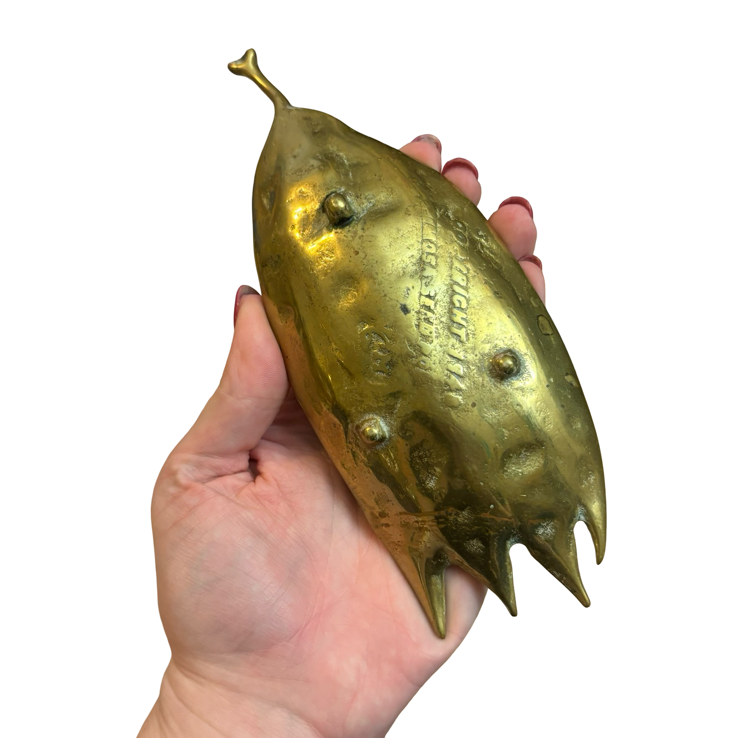 Brass Mimosa Seed Pod Tray