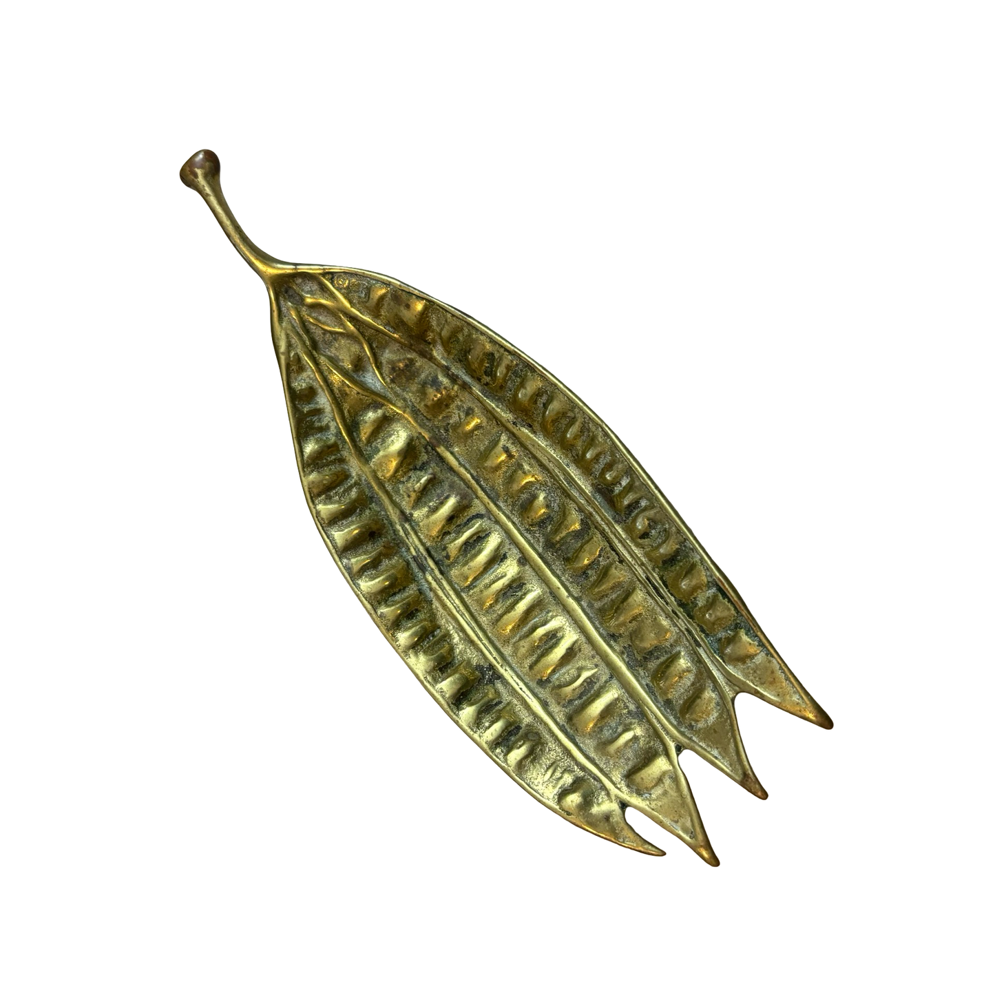 Brass Mimosa Seed Pod Tray