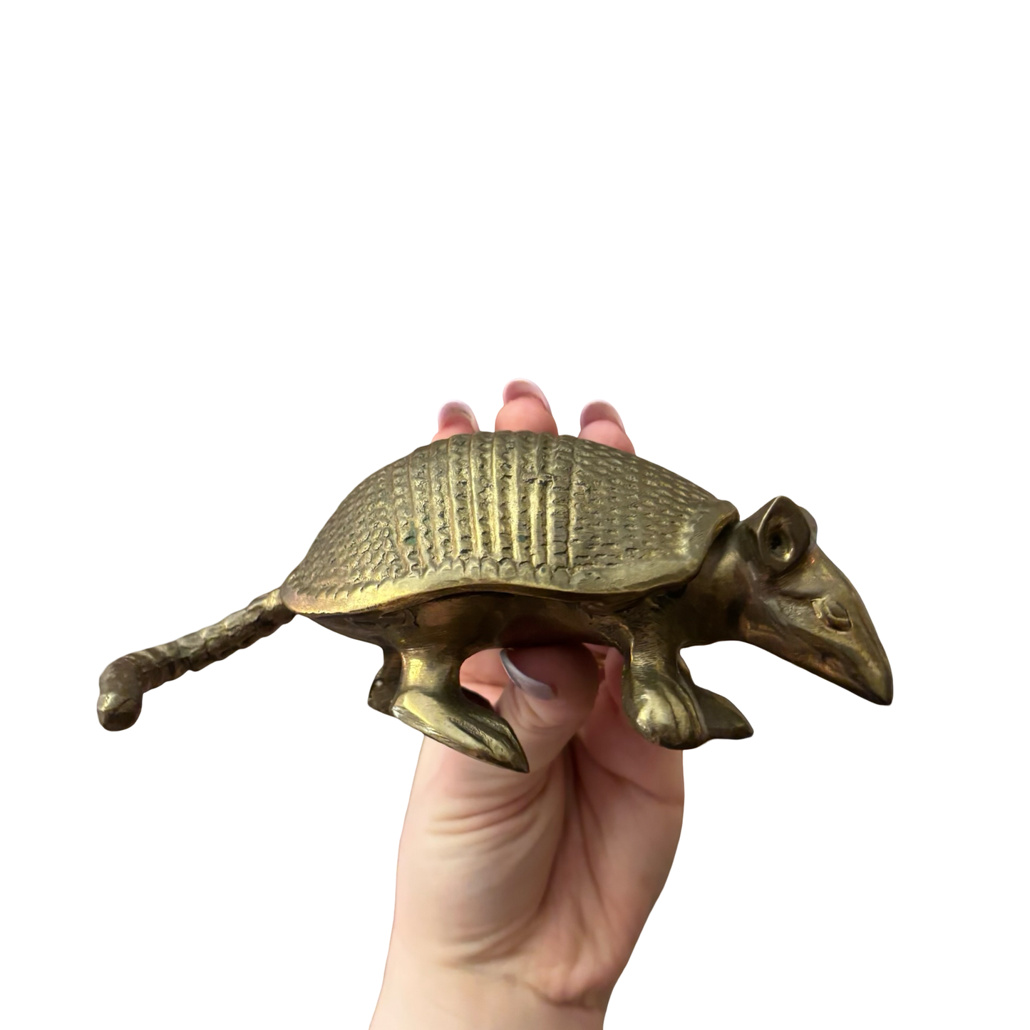 Brass Armadillo