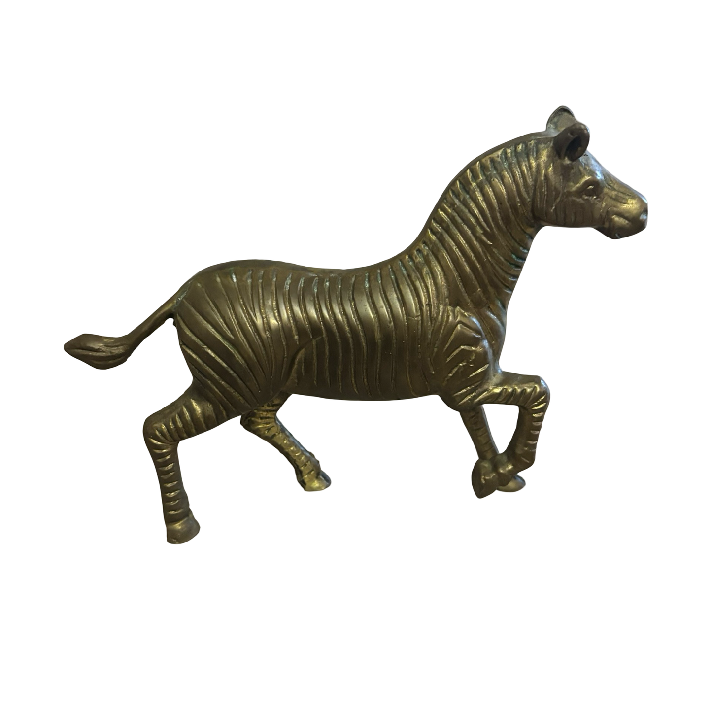 Brass Zebra