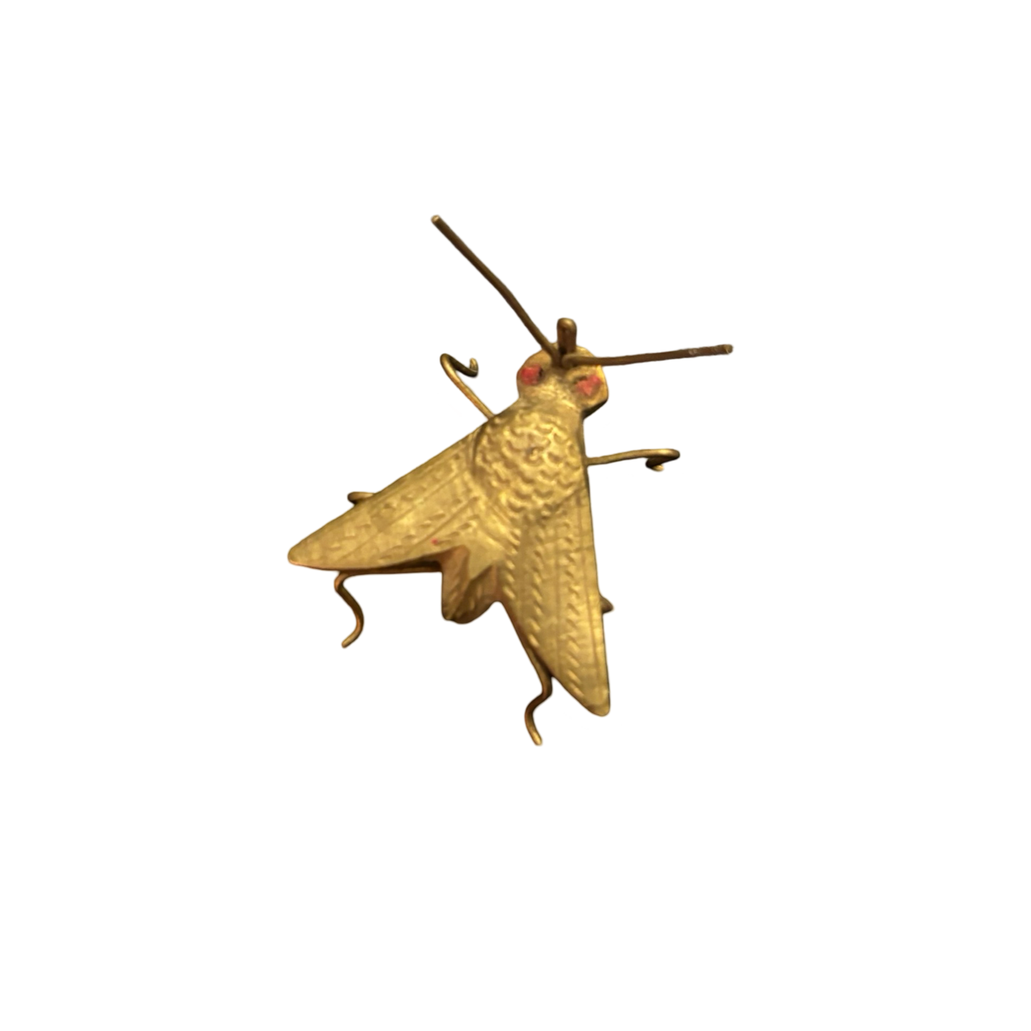 Brass Fly