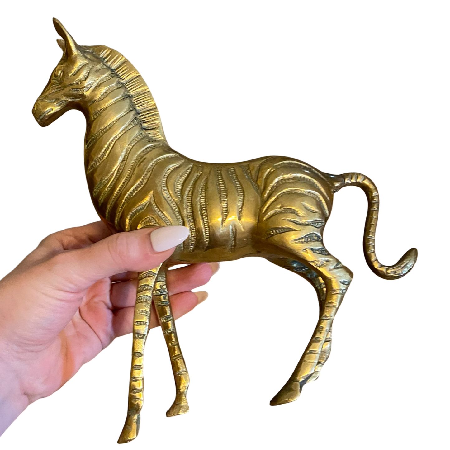 Brass Zebra