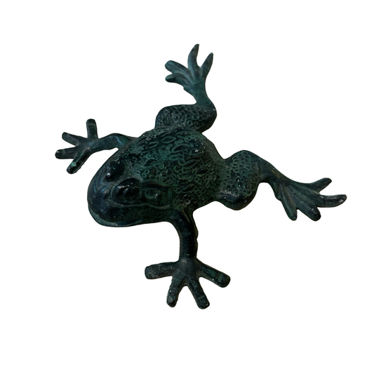 Metal Frog