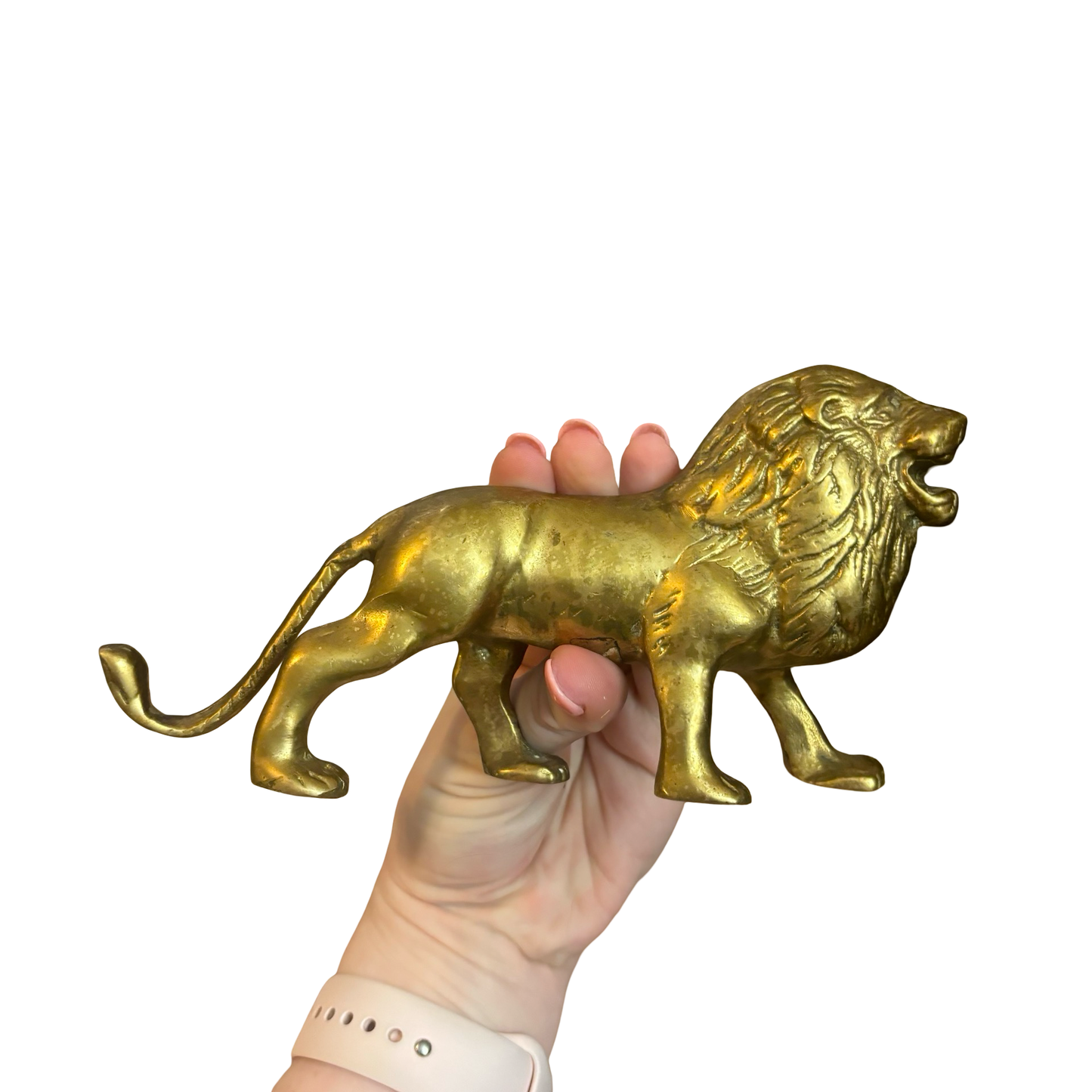 Brass Lion