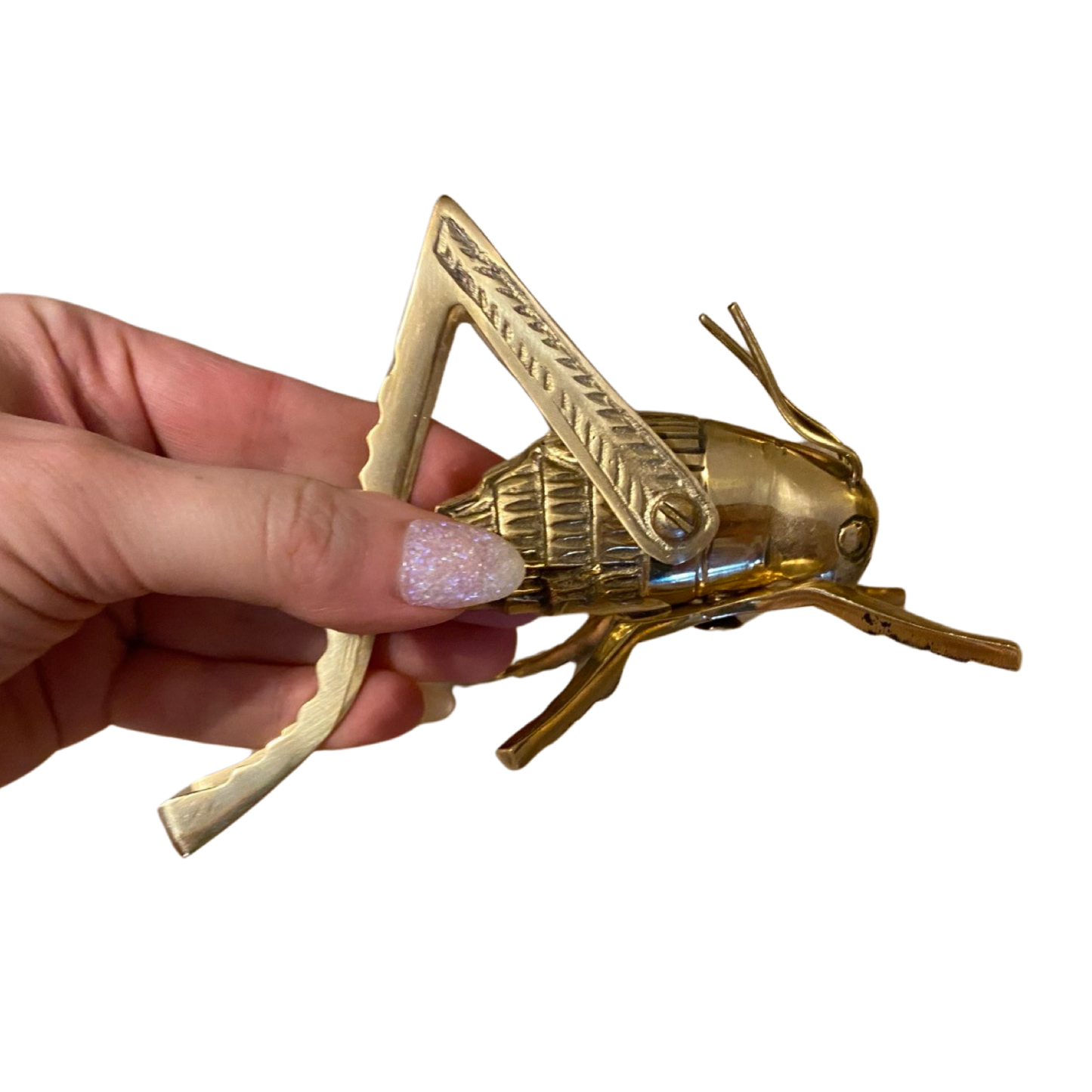 Brass Cricket