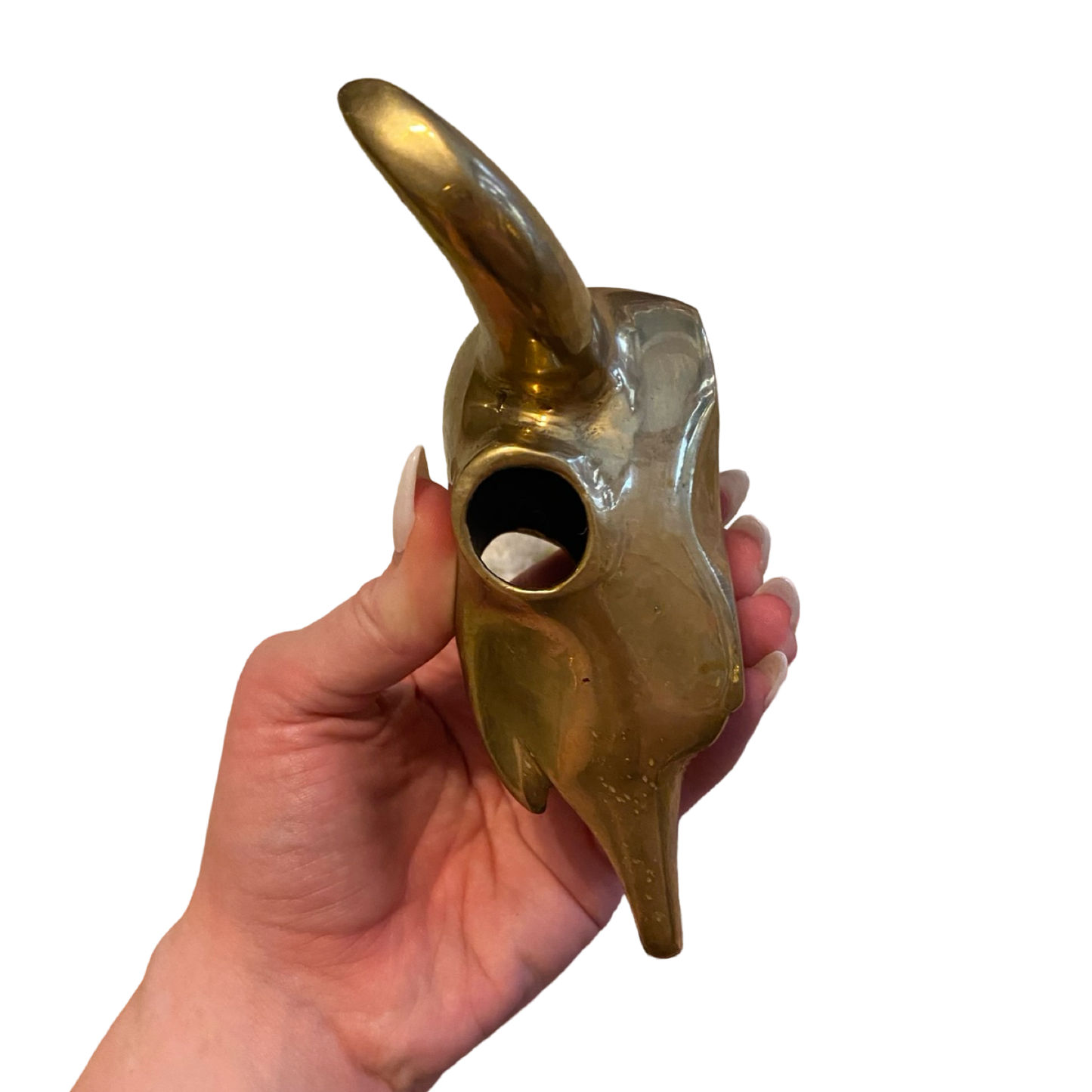 Brass Longhorn Skull