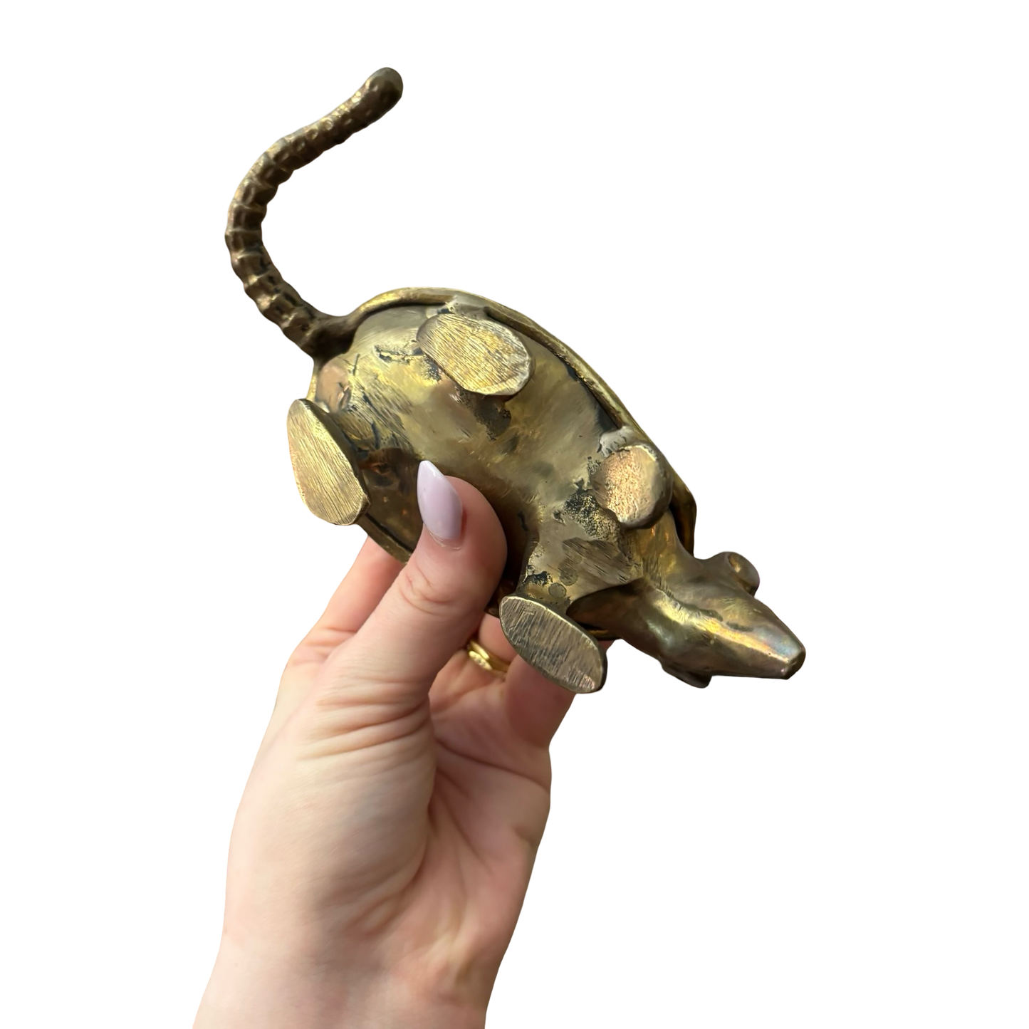 Brass Armadillo