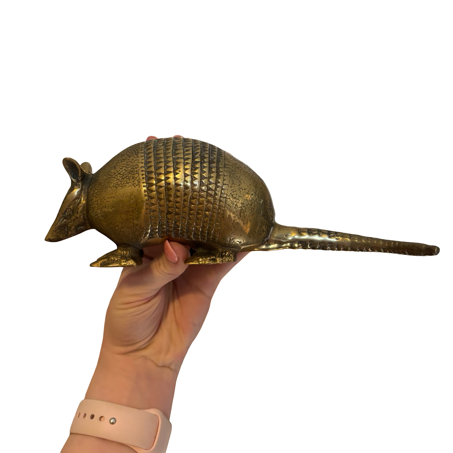 Brass Armadillo