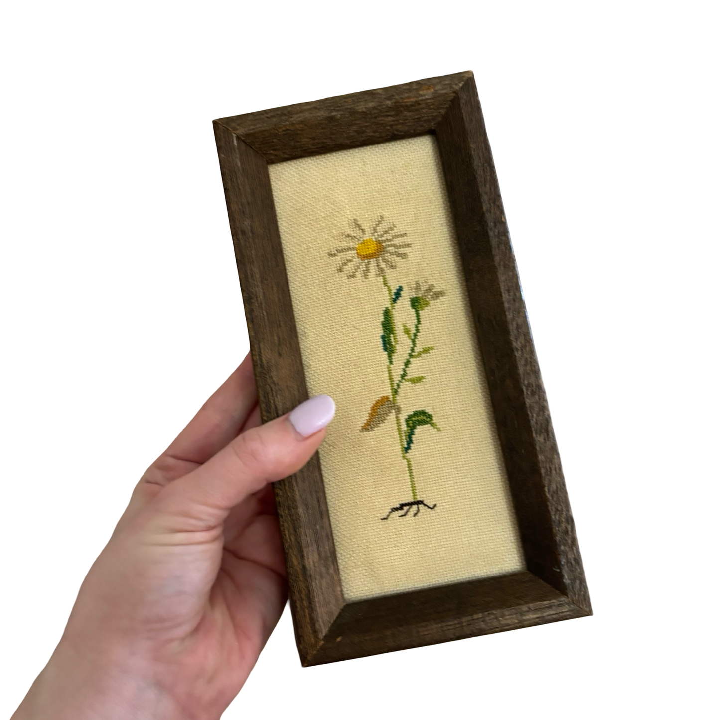 Daisy Cross Stitch