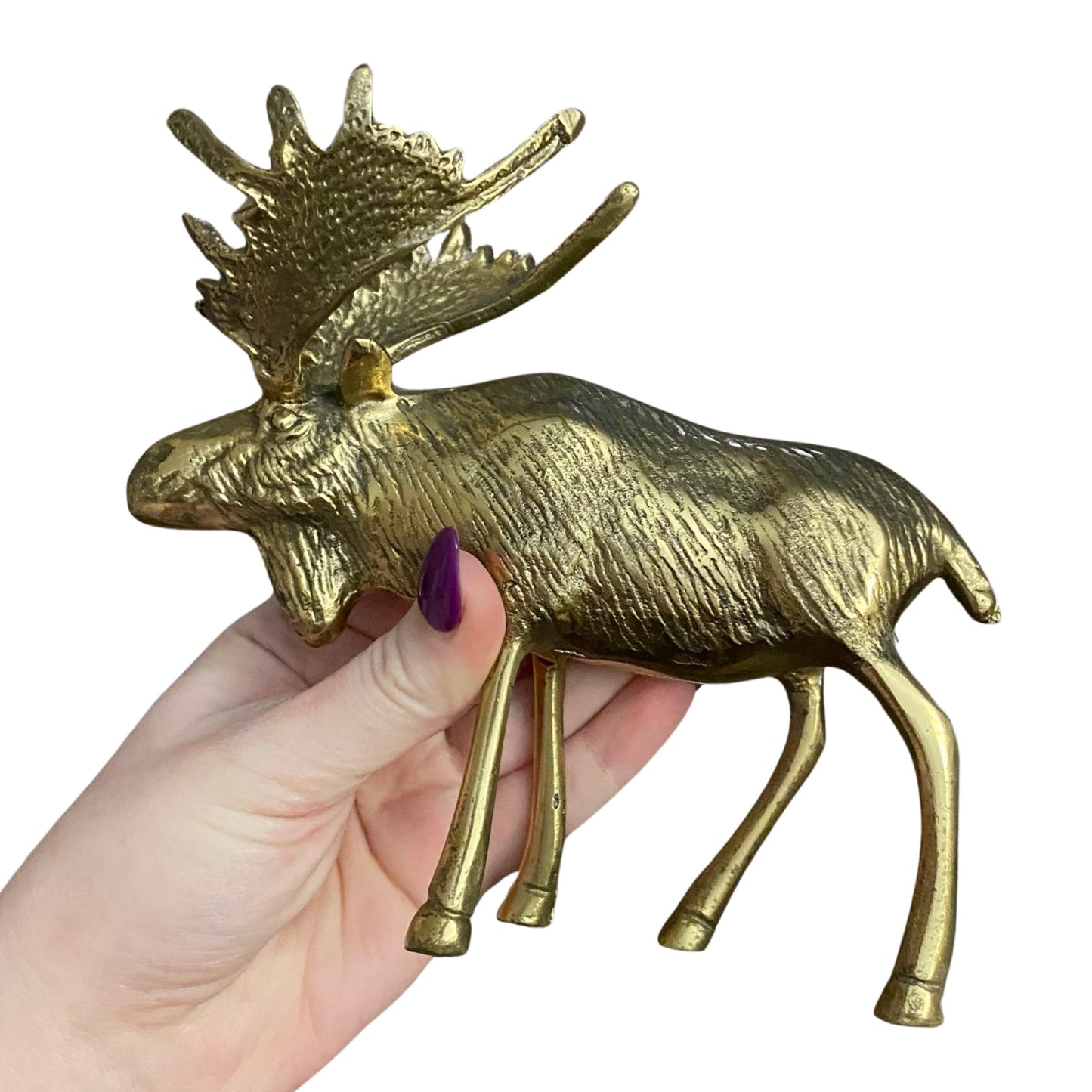 Brass Moose