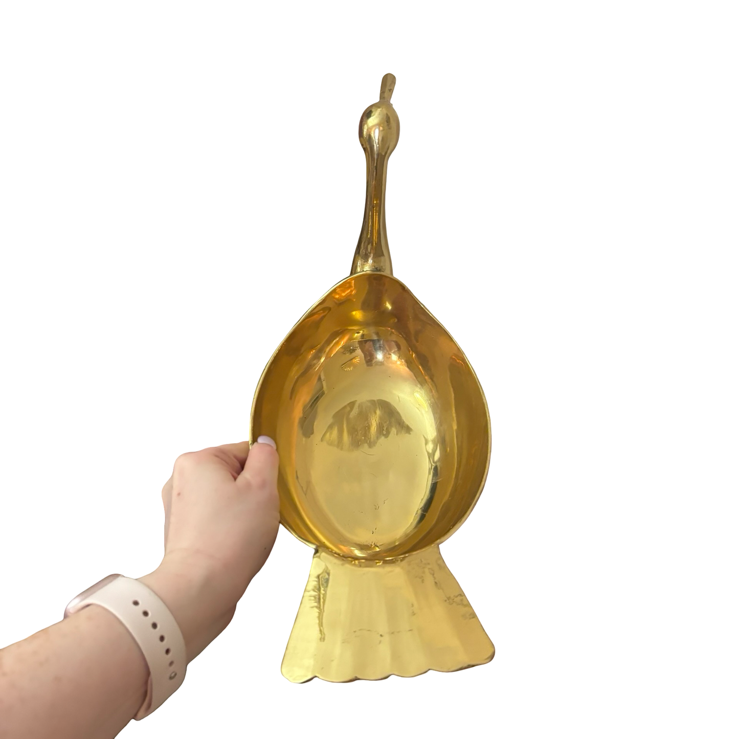 Brass Duck Bowl