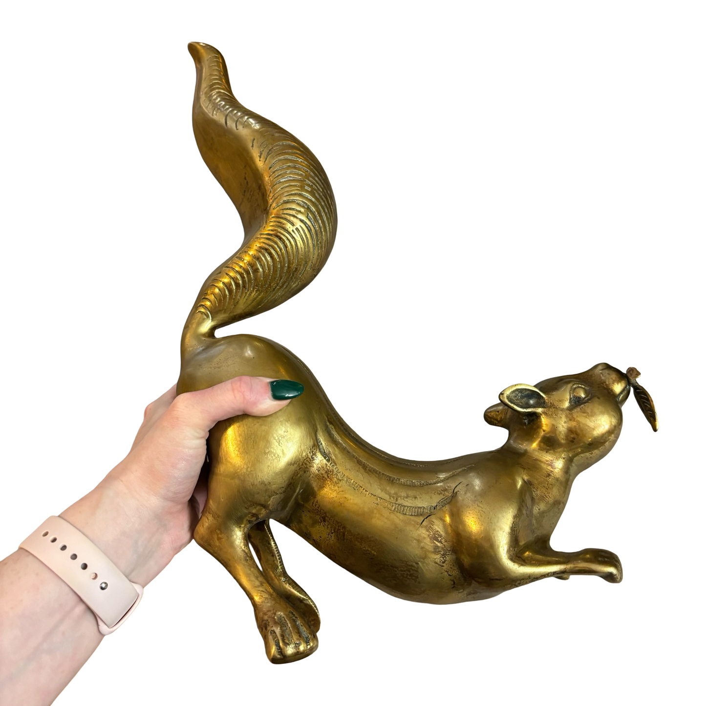 Larger Than Life Brass Squirrel