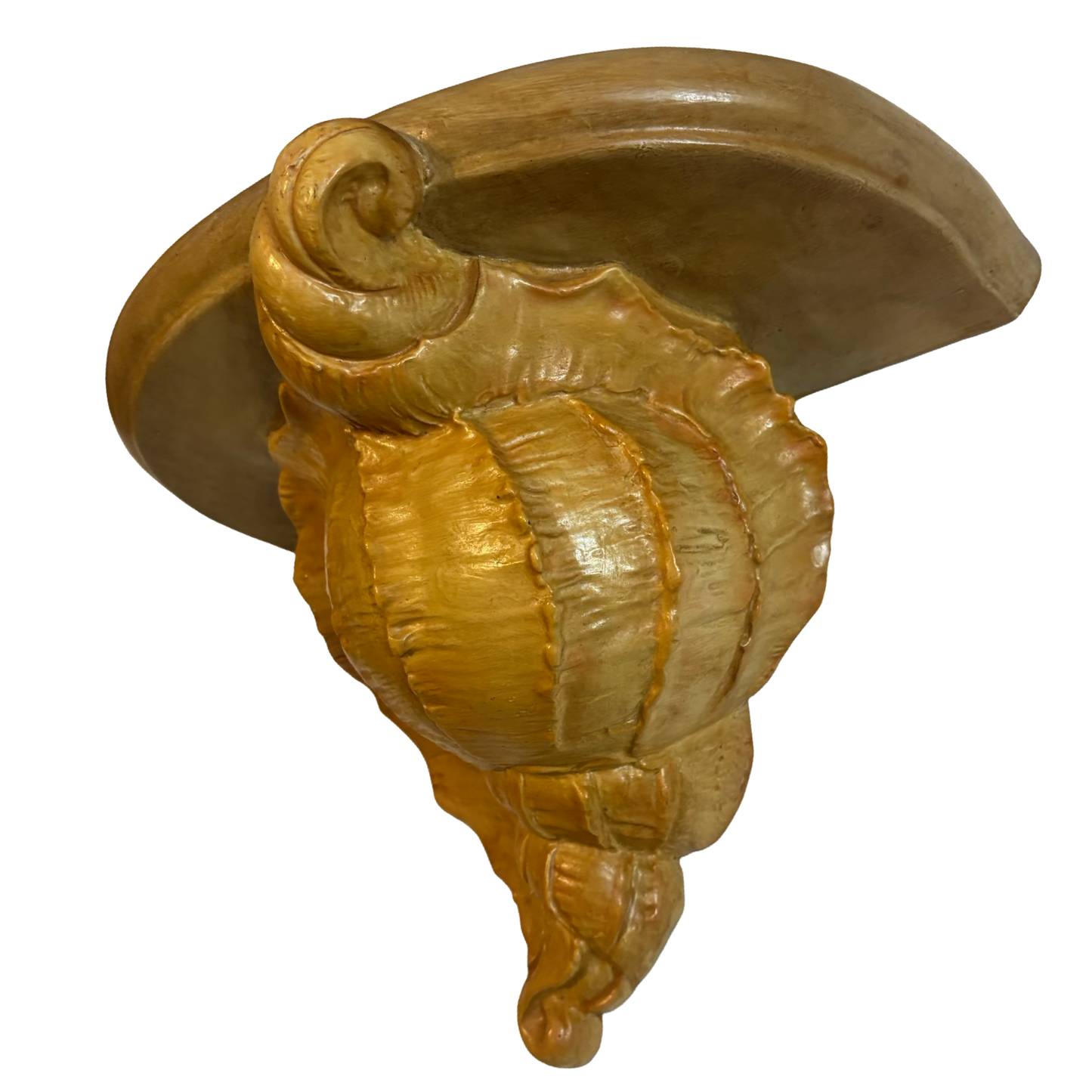 Huge Conch Shell Wall Shelf