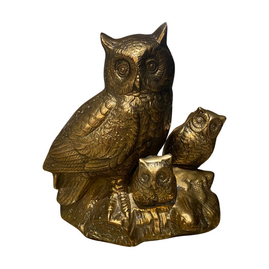 Brass Owl Family