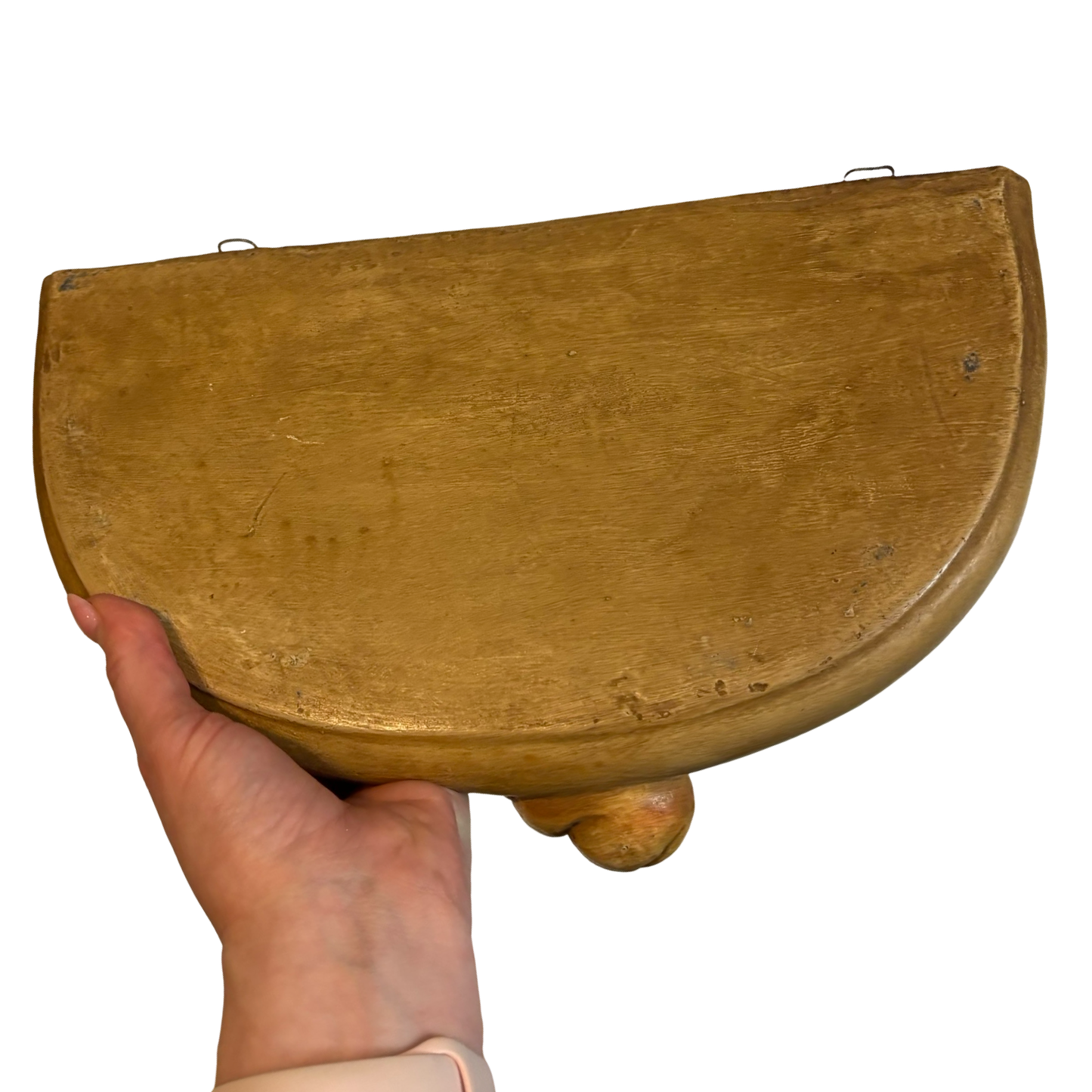Huge Conch Shell Wall Shelf