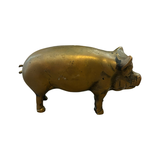 Brass Pig