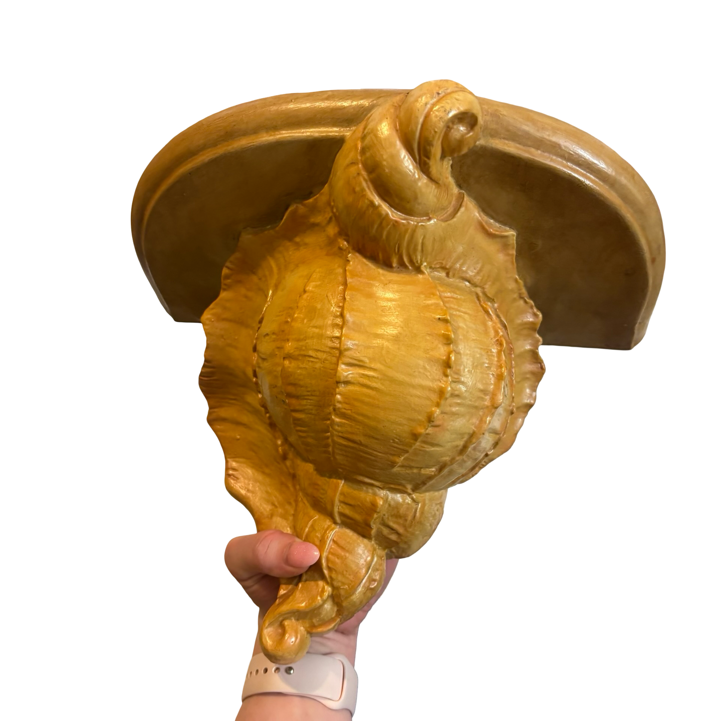 Huge Conch Shell Wall Shelf