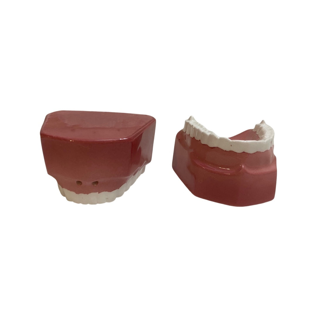 Denture Teeth Shakers