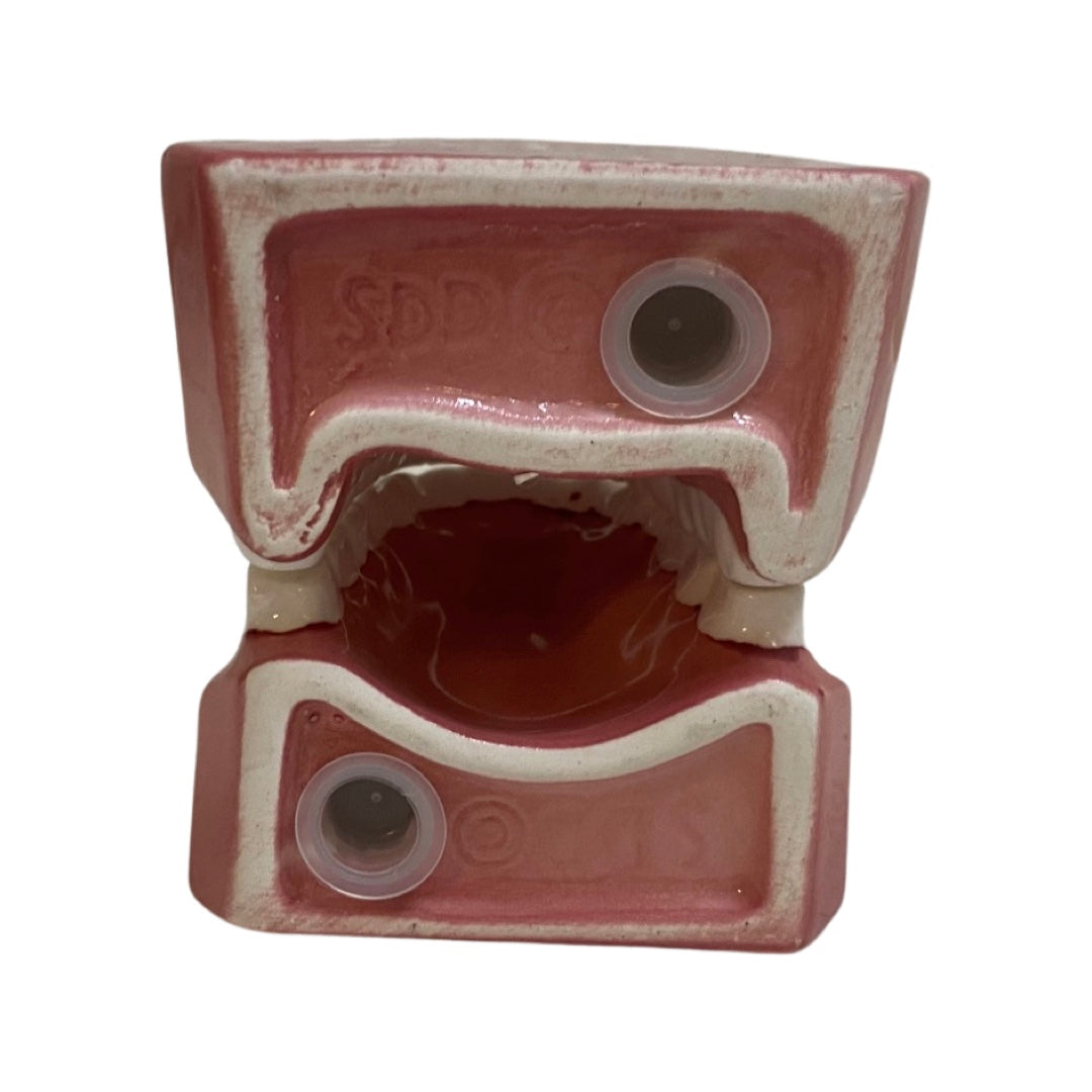 Denture Teeth Shakers