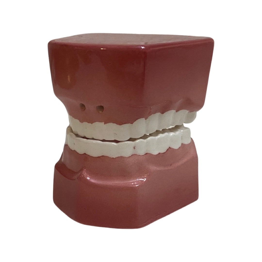 Denture Teeth Shakers