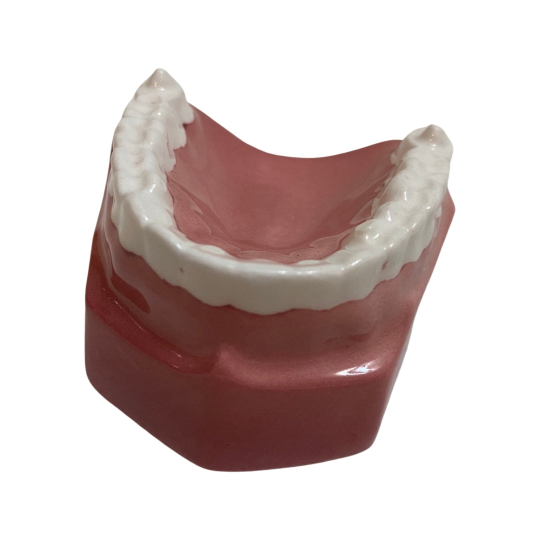 Denture Teeth Shakers