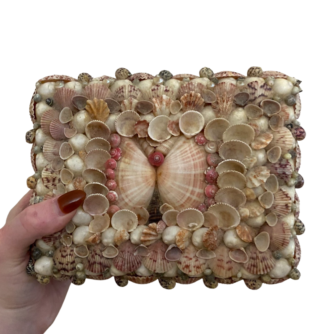 Decorative Shell Covered Box