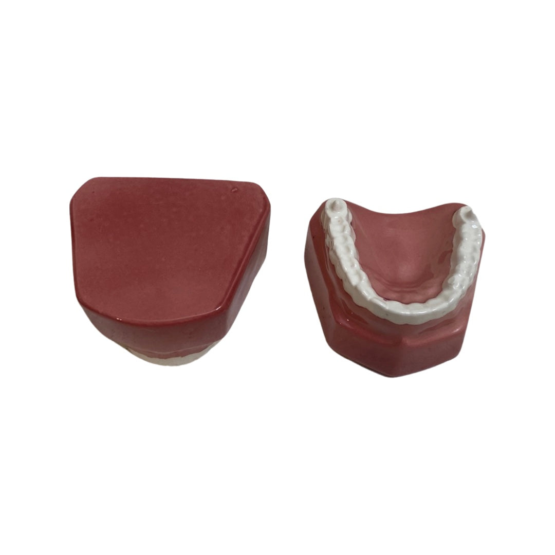 Denture Teeth Shakers